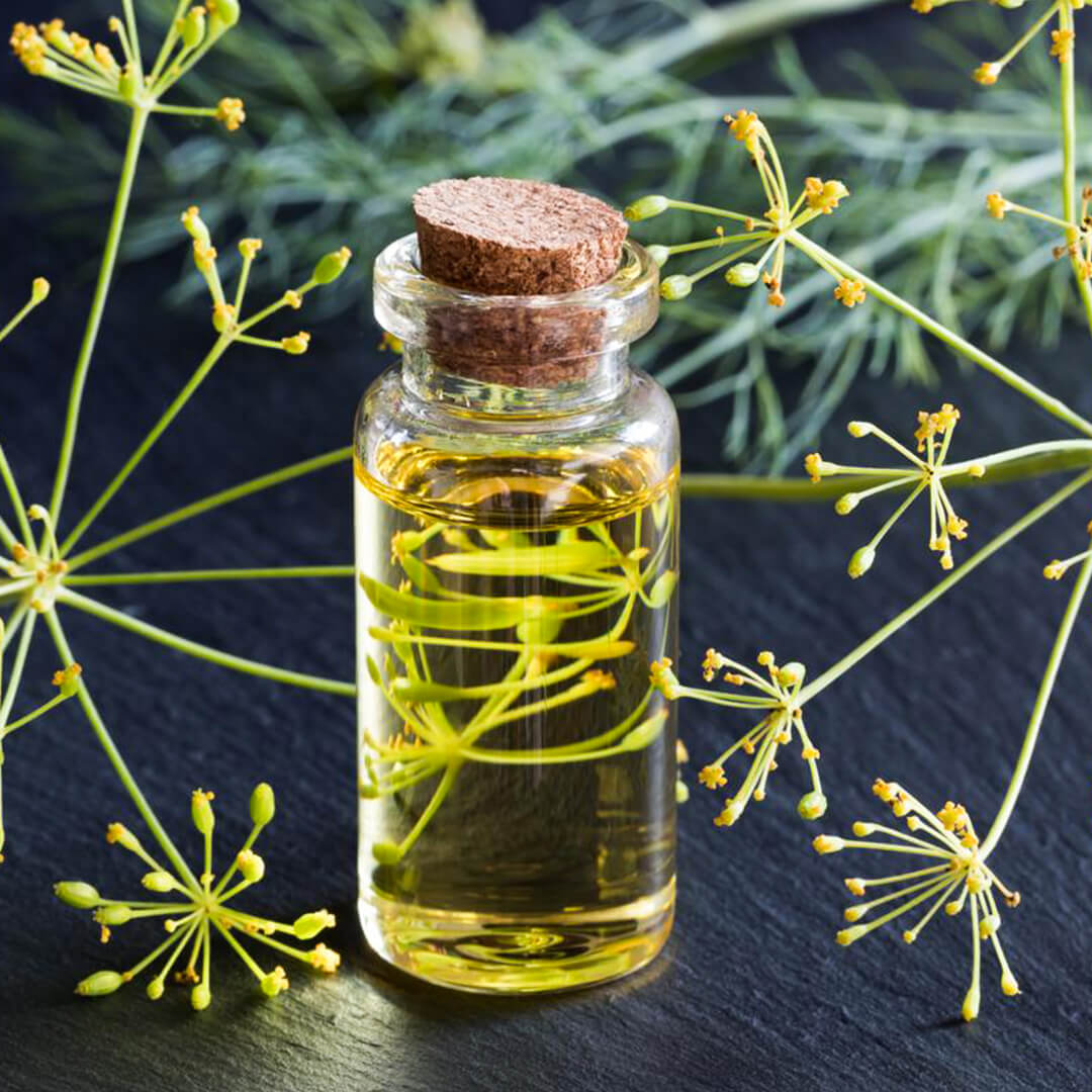 Here Are Some Technical Details About Dill Oil